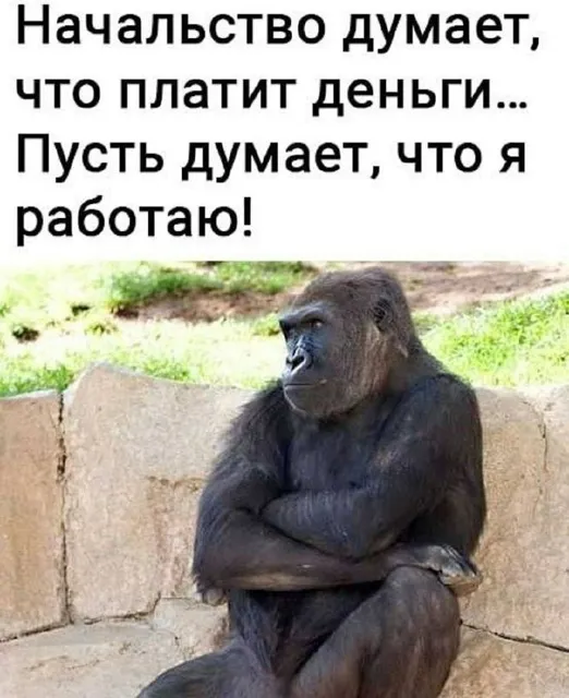 Анекдоты | Мемы | Юмор 🍒 — пост от 14.07.2026
