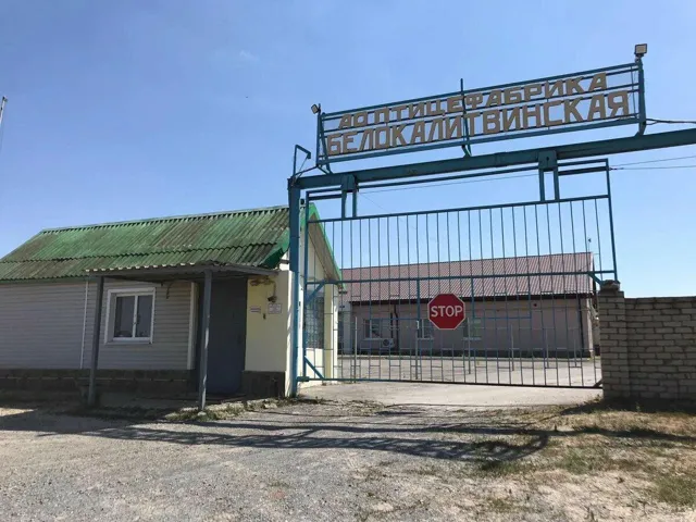 Агрономика — пост от 14.07.2026