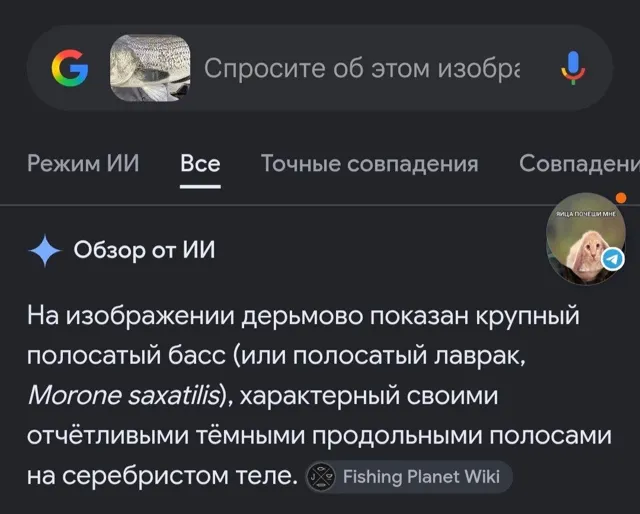 Анальные утехи. ru — пост от 29.08.2026