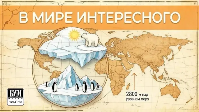 БИМ-радио — пост от 10.09.2026