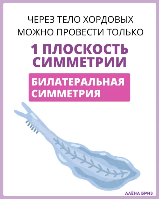 Алёна Бриз | БИОЛОГИЯ ЕГЭ и ОГЭ 2027 — пост от 21.09.2026