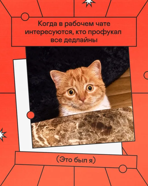 БУДУ — пост от 23.06.2026