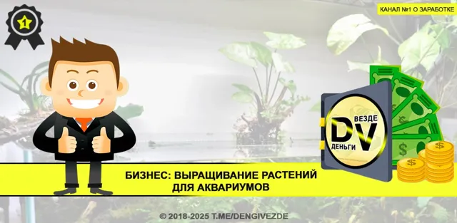 Деньги есть везде — пост от 14.07.2026