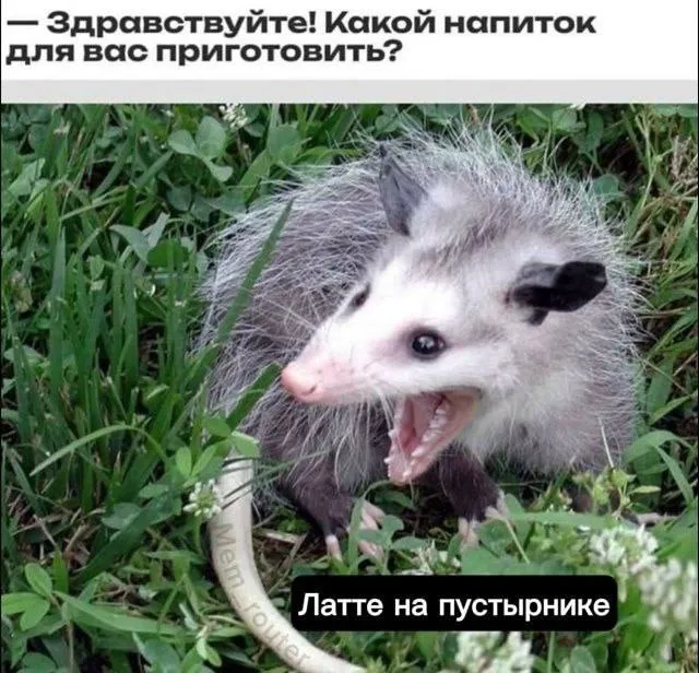 Депрессивные мемы — пост от 14.07.2026