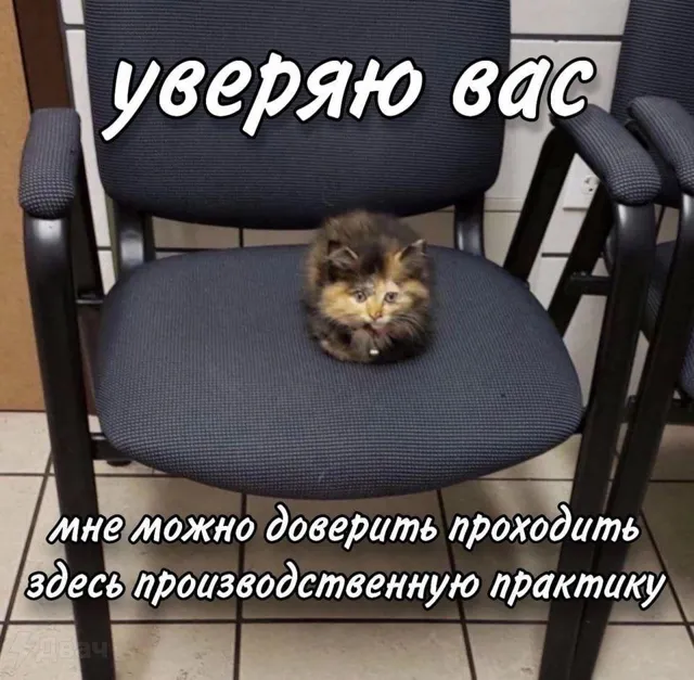 постироничные открытки — пост от 14.07.2026