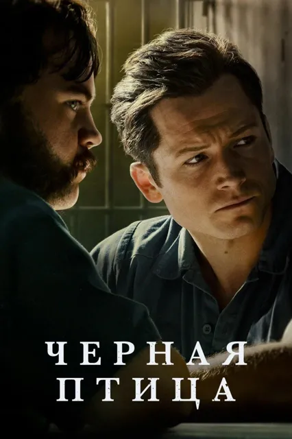 Фильмы / Сериалы 🎥 — пост от 31.08.2026
