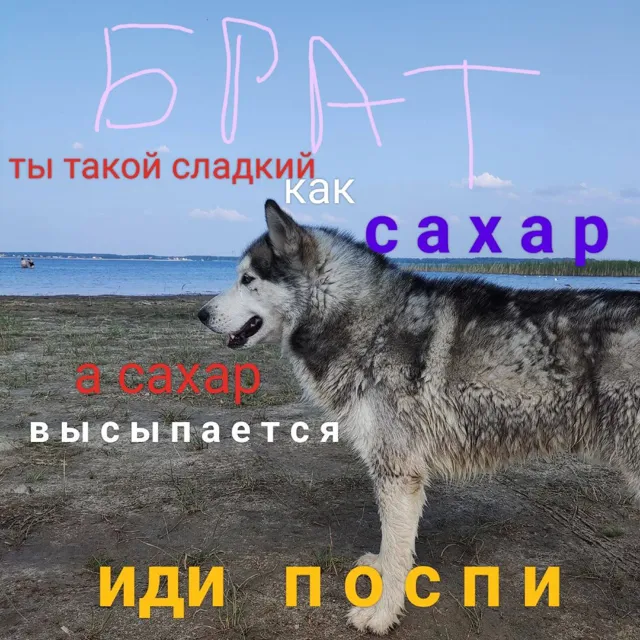 Девичник 💍 — пост от 14.07.2026