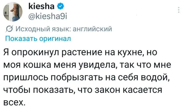 бабские записки ✨ — пост от 14.07.2026