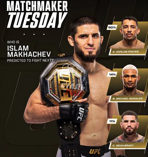 Сталь | PROsecrets MMA — пост от 22.09.2026