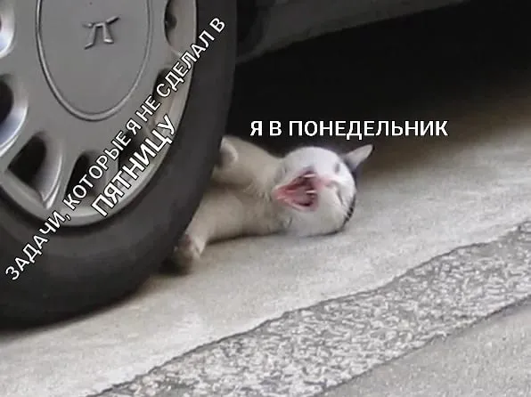 канал для работников 5/2 — пост от 14.07.2026