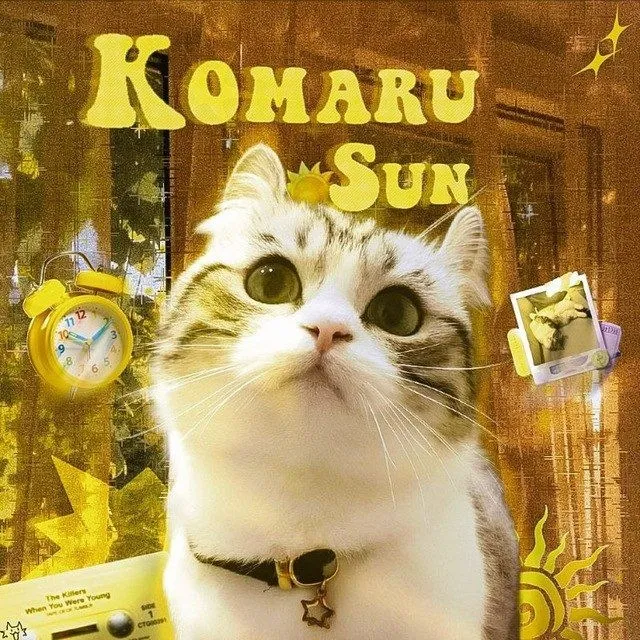 ☀️Komaru sun☀️ — логотип телеграмм-канала