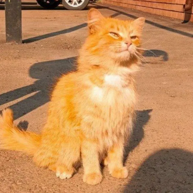 ненавижу — логотип