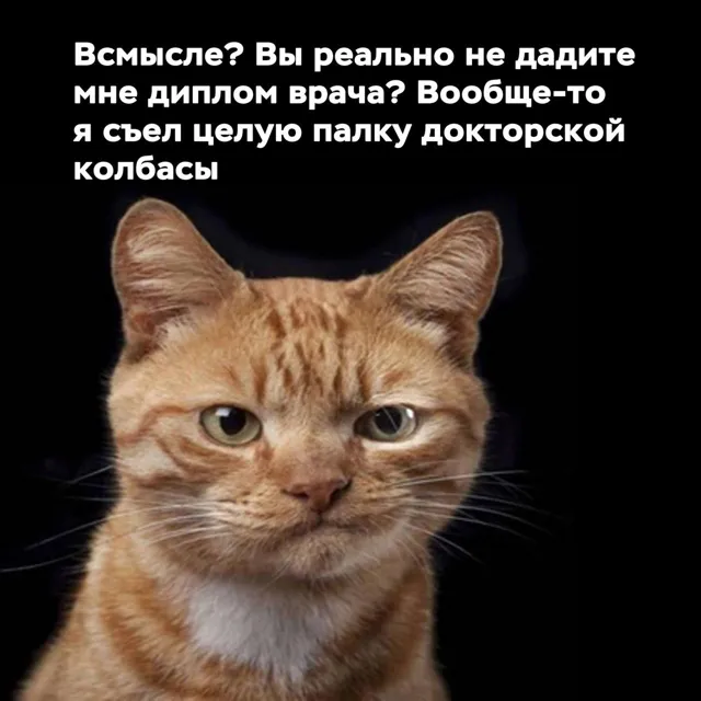 Медицинский юмор — пост от 14.07.2026