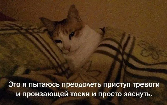 МЕМАЧ — пост от 13.06.2026