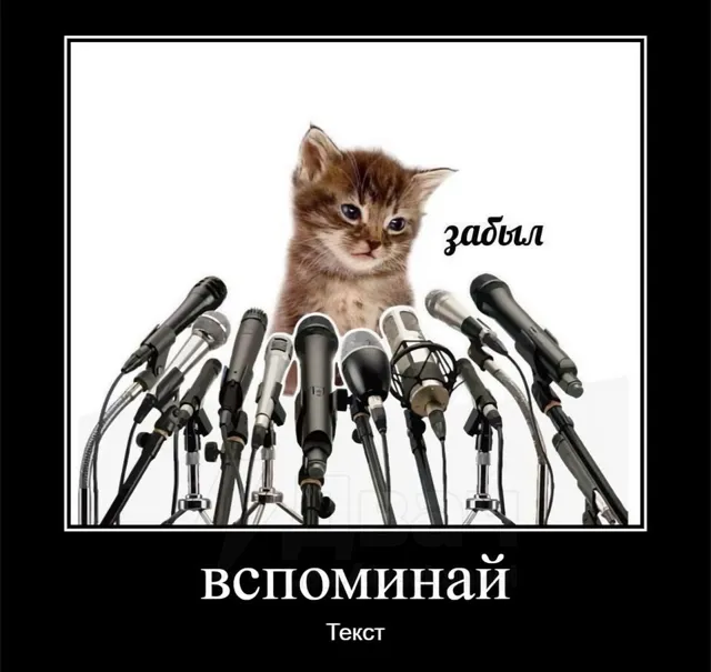 Рандомач/Двач — пост от 14.07.2026