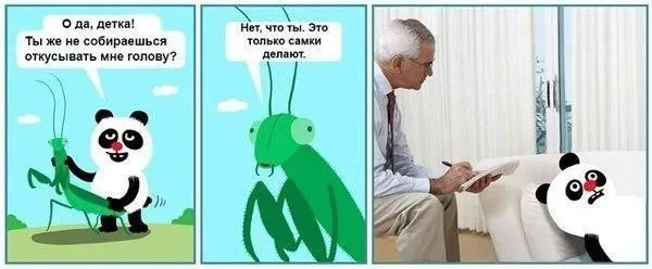 Ржака | Мемы | Юмор — пост от 14.07.2026