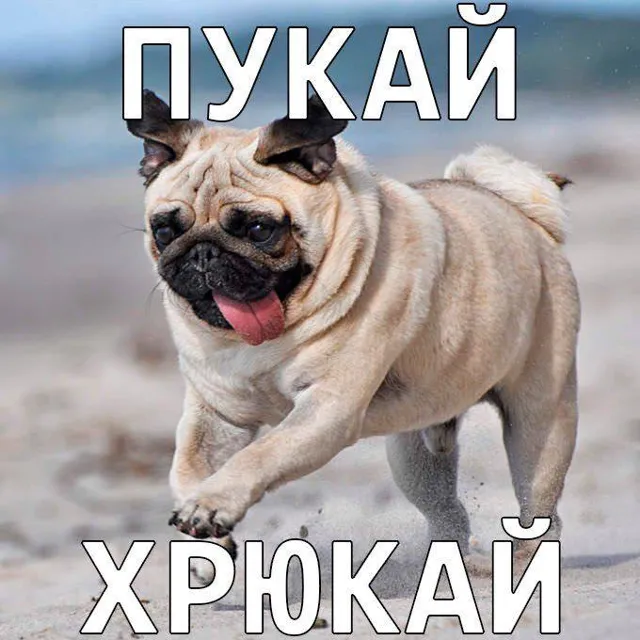 срыгродя — пост от 28.09.2026