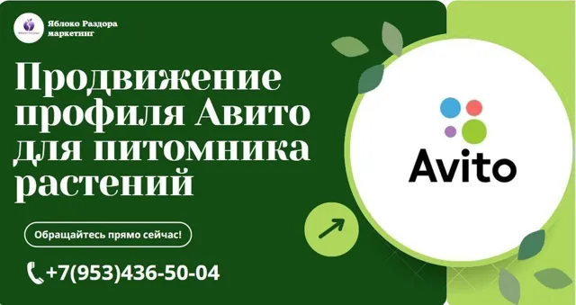 The Plant Market |Покупка-Продажа Растений — пост от 26.08.2026