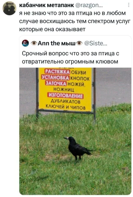 Tits Tweets — пост от 14.07.2026