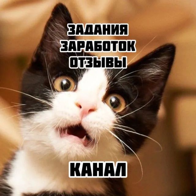 Заработок на заданиях отзывы 🚀 — логотип телеграмм-канала