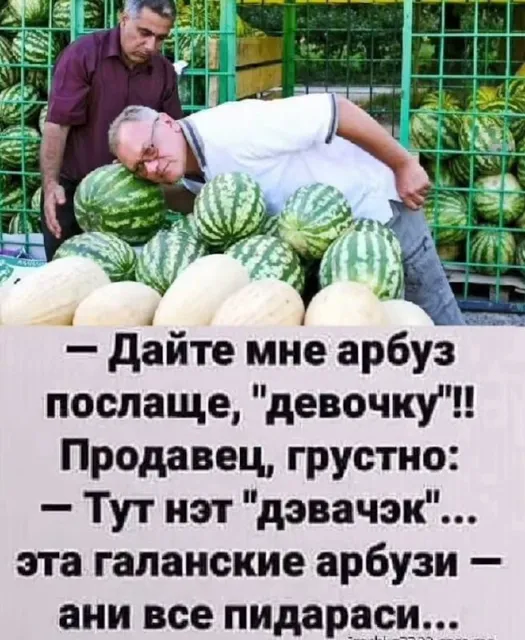 ХаХаски | Юмор — пост от 14.07.2026